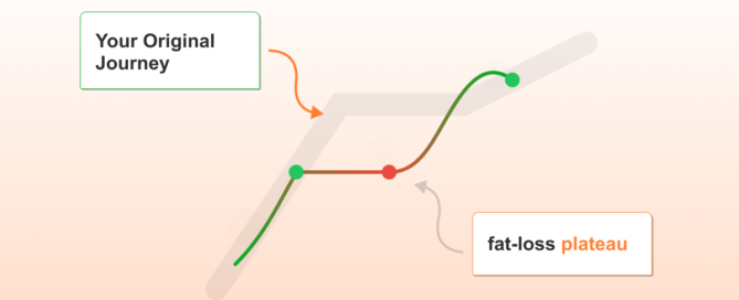 Explain-fat-loss-plateau