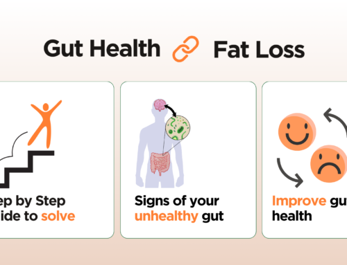 The Link Between Gut Health and Fat Loss