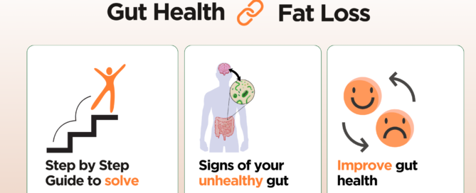 Gut-Health-link-fat-loss